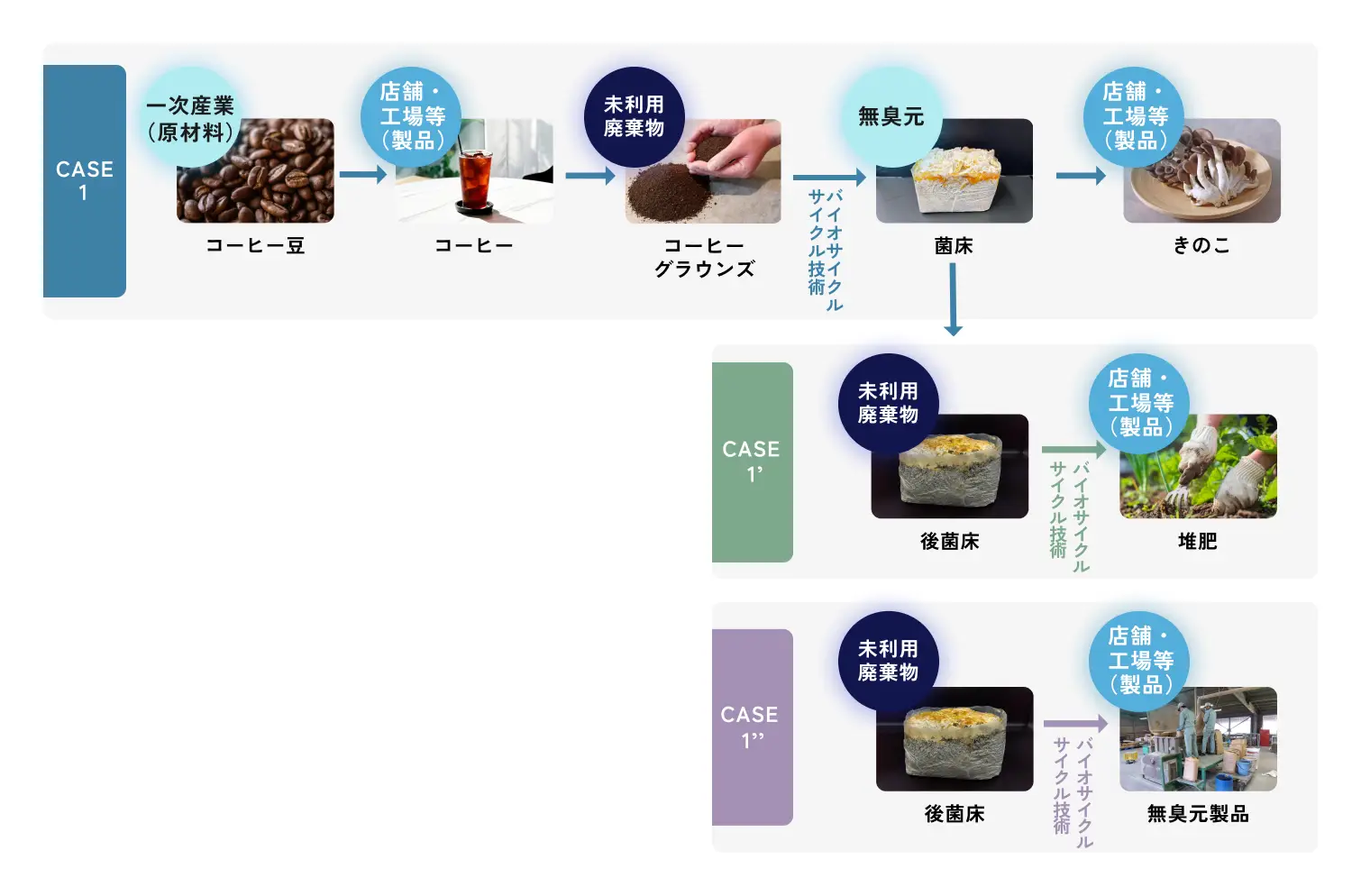 サステナきのこ Case1