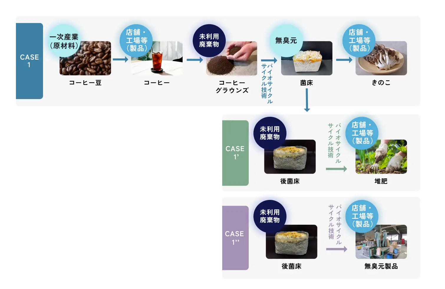 サステナきのこ Case1