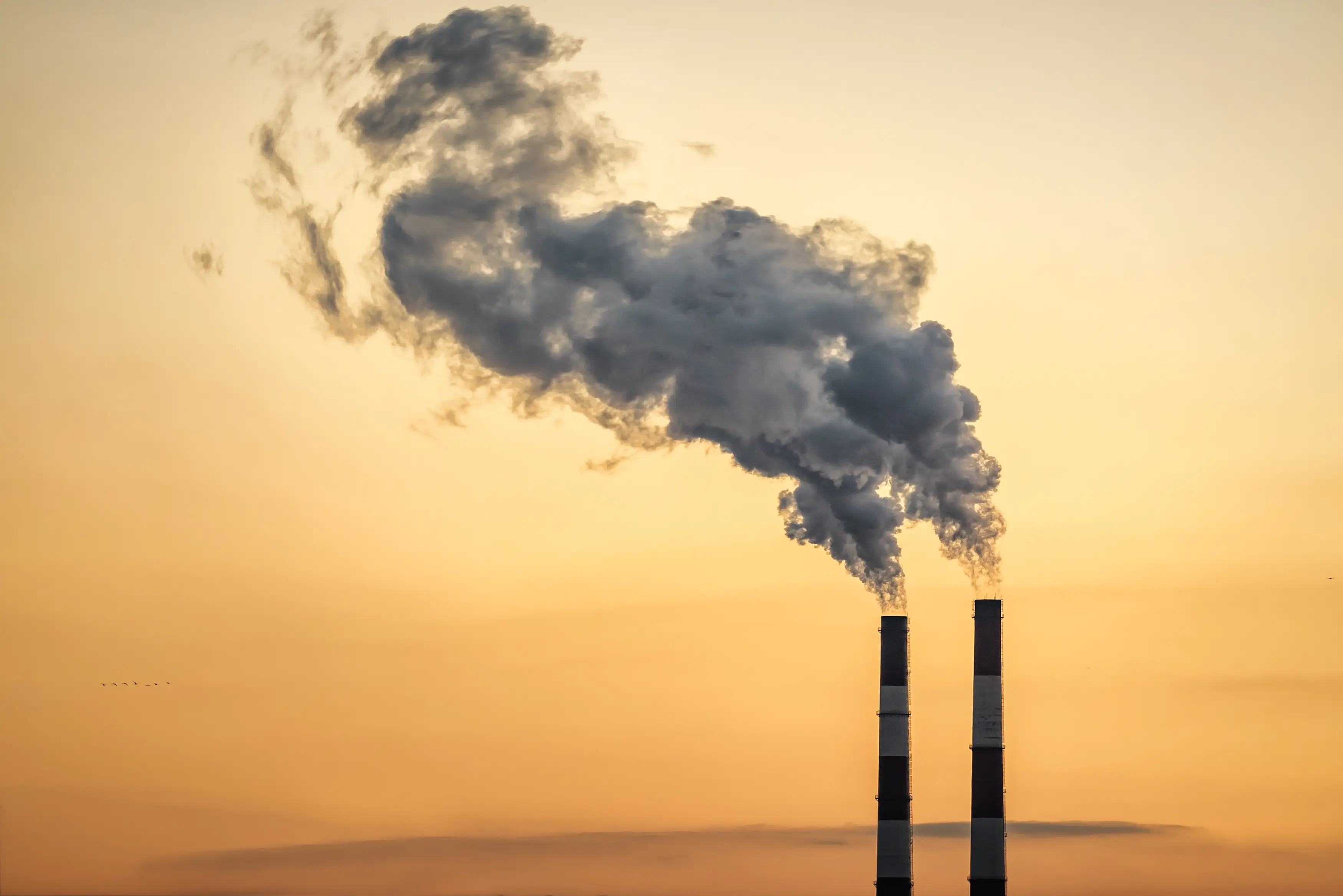 特定悪臭物質とは?22物質の一覧と特徴、法規制や事業者が取るべき対策を紹介